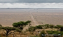 The Serengeti_HBA1286